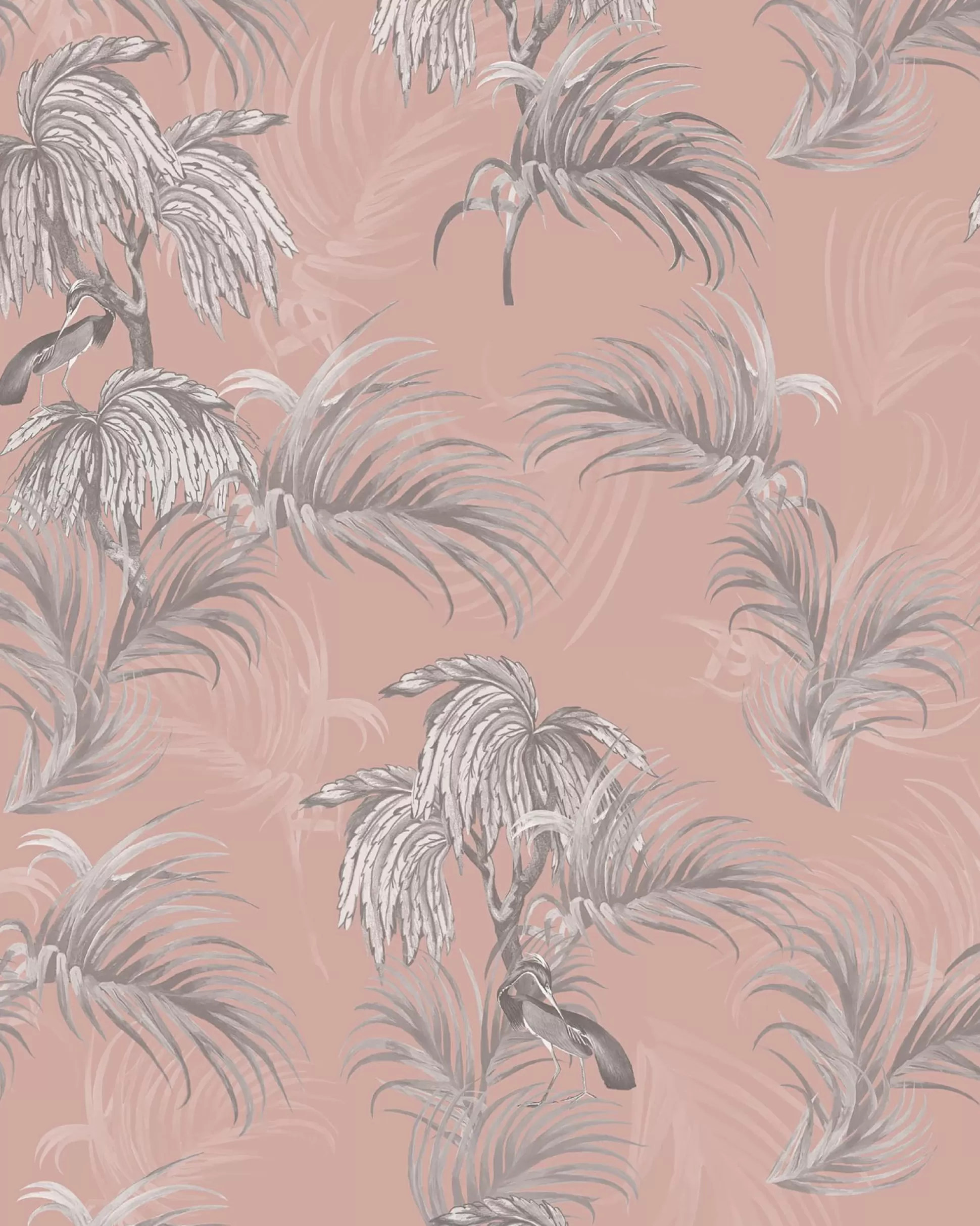 Wallpaper^Ted Baker Horzwp Pink