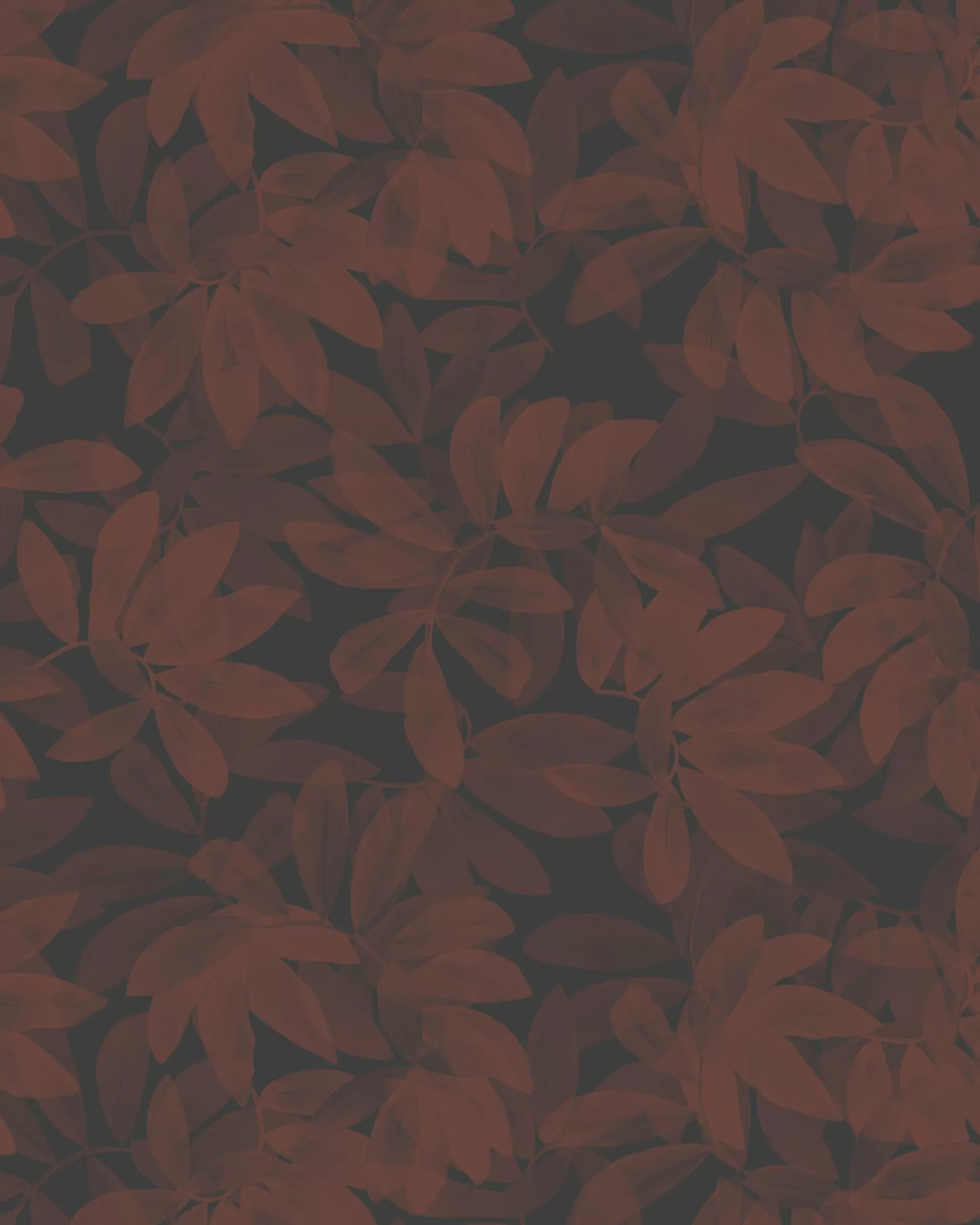 Wallpaper^Ted Baker Houdini Dark Red