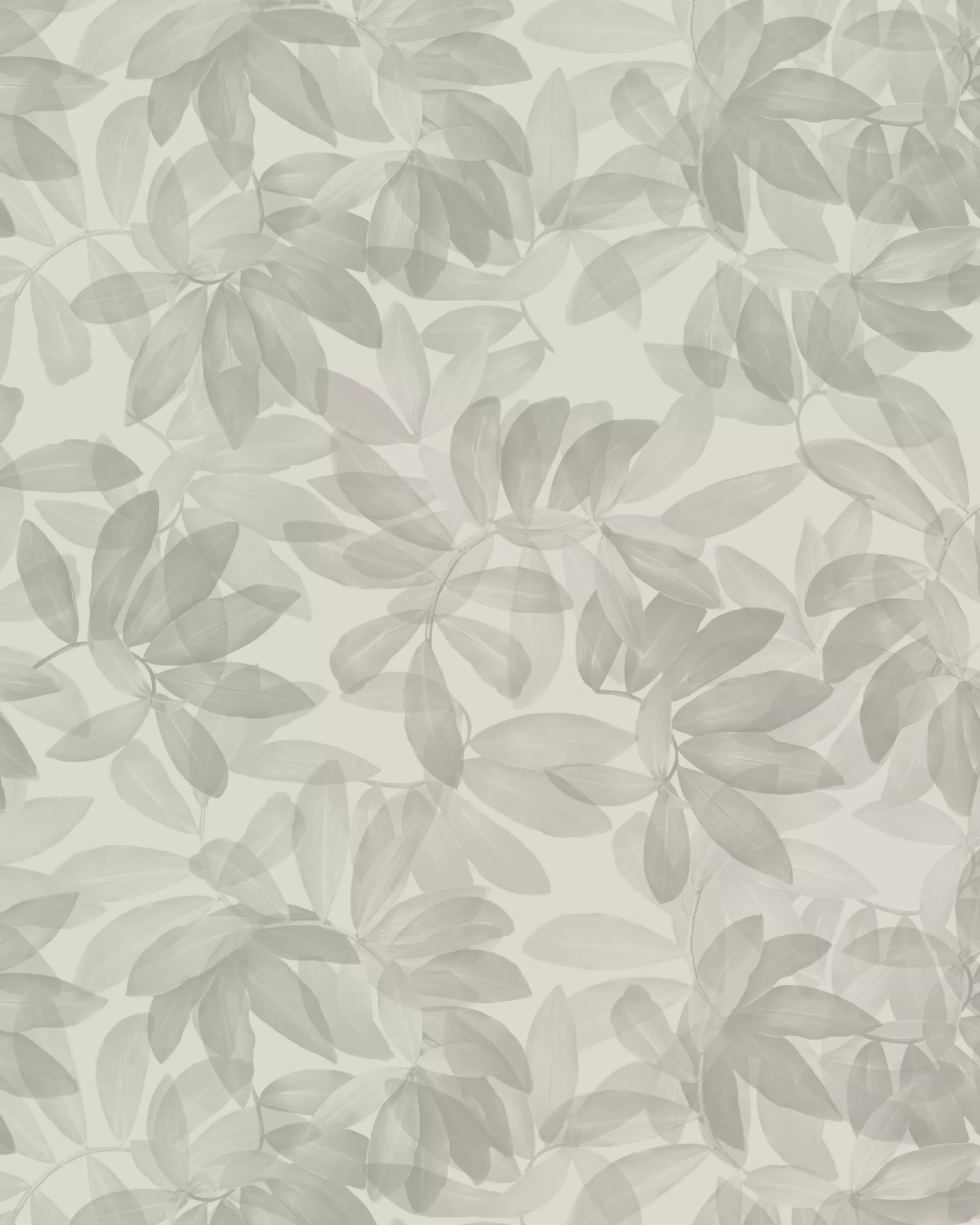 Wallpaper^Ted Baker Houdnni Light Grey