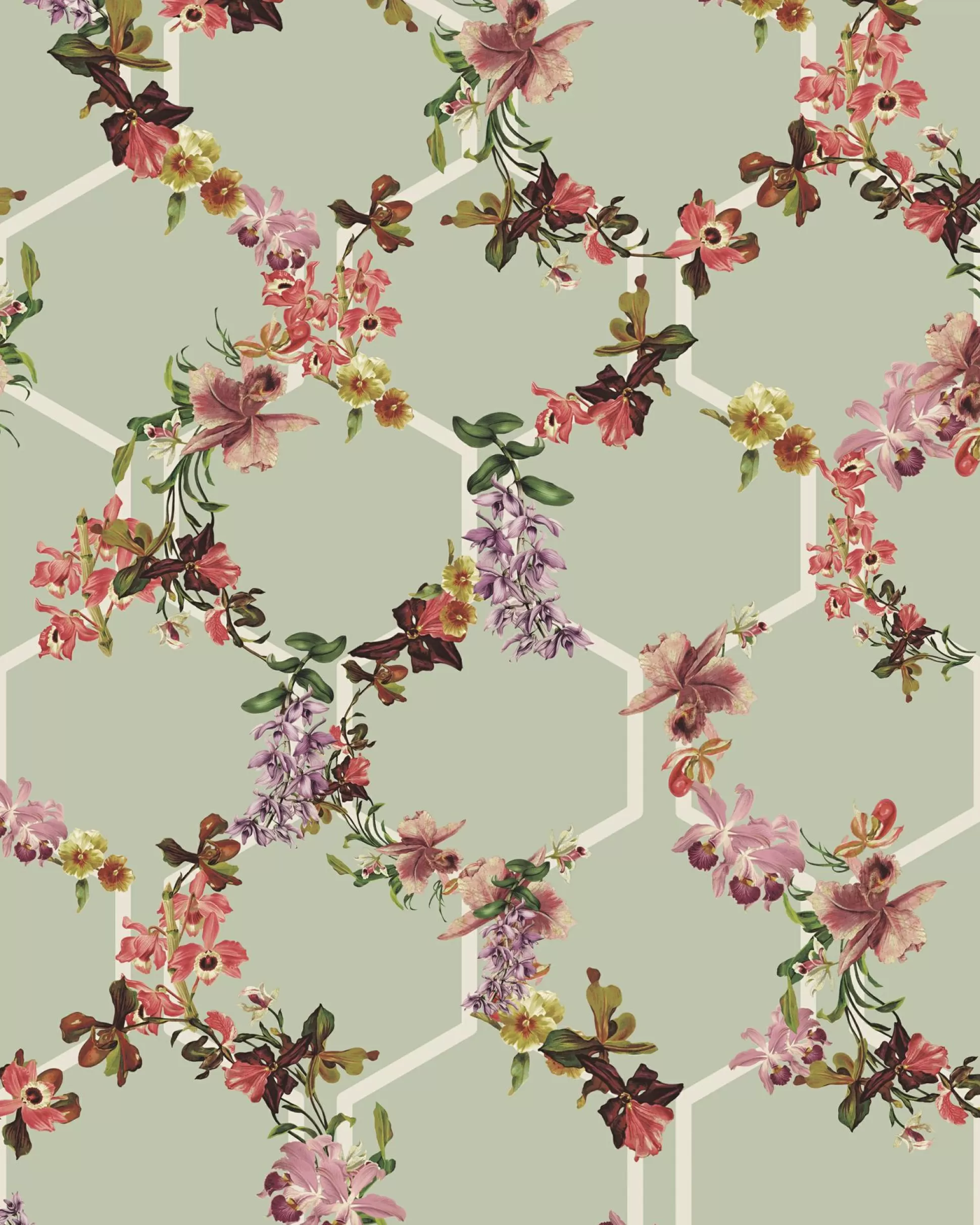 Wallpaper^Ted Baker Losga Light Green