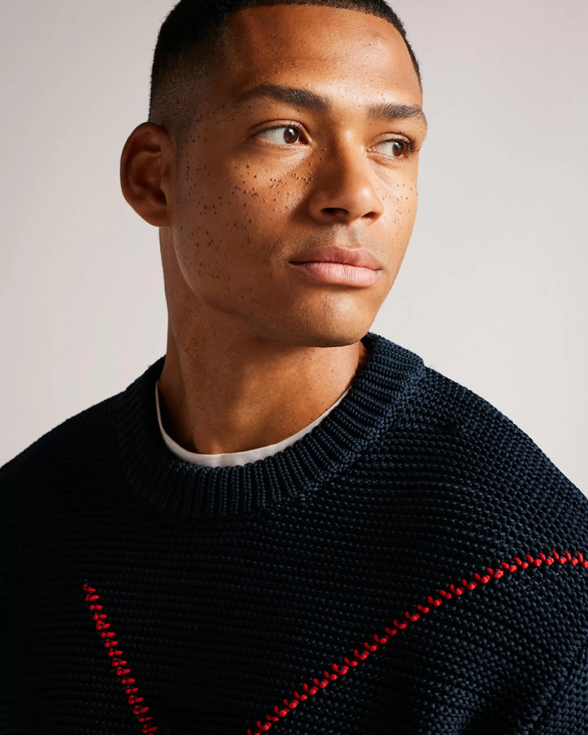 Jumpers & Knitwear^Ted Baker Waldo Navy